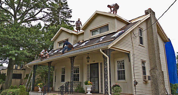 Best Metal Roofing Contractor  in Golden Shores, AZ